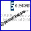 Camshaft-Engine-50007710-Kolbenschmidt-I-01-lb