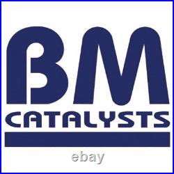 DPF & Fitting Kit BM Cats for Vauxhall Vivaro DTi G9U630 2.5 Jan 2006-Apr 2011