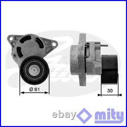 Fits Renault Master Espace Trafic Vauxhall Movano Tensioner Pulley Mity