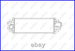 INTERCOOLER CHARGER FOR NISSAN PRIMASTAR/Bus/Van/Platform/Chassis RENAULT