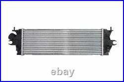 THERMOTEC DAX014TT Intercooler, charger OE REPLACEMENT