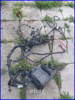 Vauxhall vivaro full wiring loom